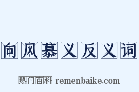 向风慕义反义词是什么意思的图片